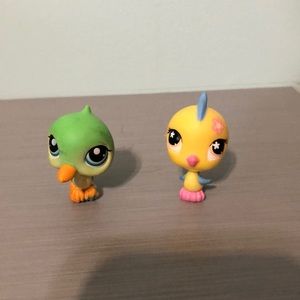 Lps birds